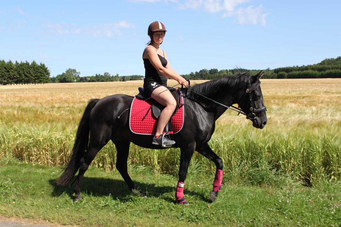 DSP Fiona billede 20