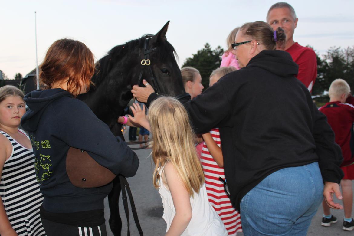 DSP Fiona billede 30