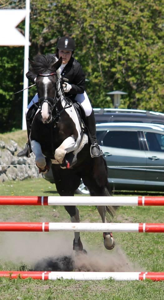 Anden særlig race Anastacia - Vores første bane på 1 m, 8 fejl :-) billede 12