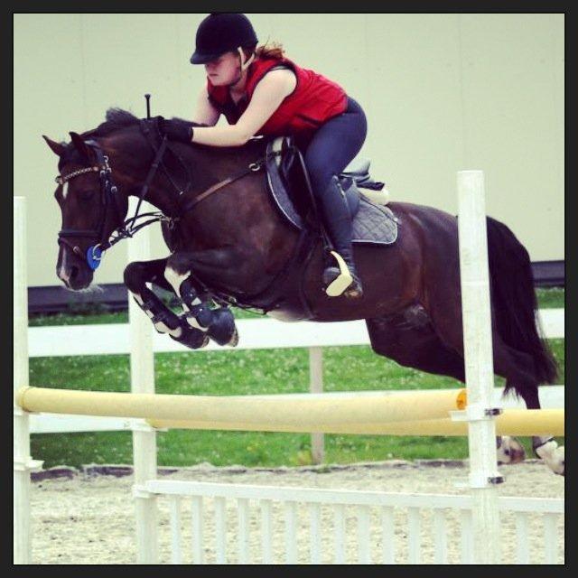 Hollandsk Sportspony | Radec<3 | (Toblerone) - 110  springtræning billede 11