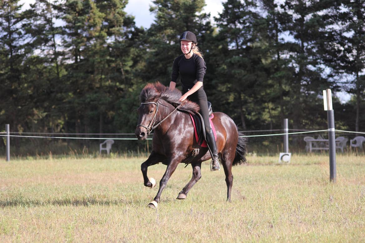 Islænder Katla fra Dejbjerg <3 - A horse without a rider is still a horse. But a rider without a horse is only human. billede 14