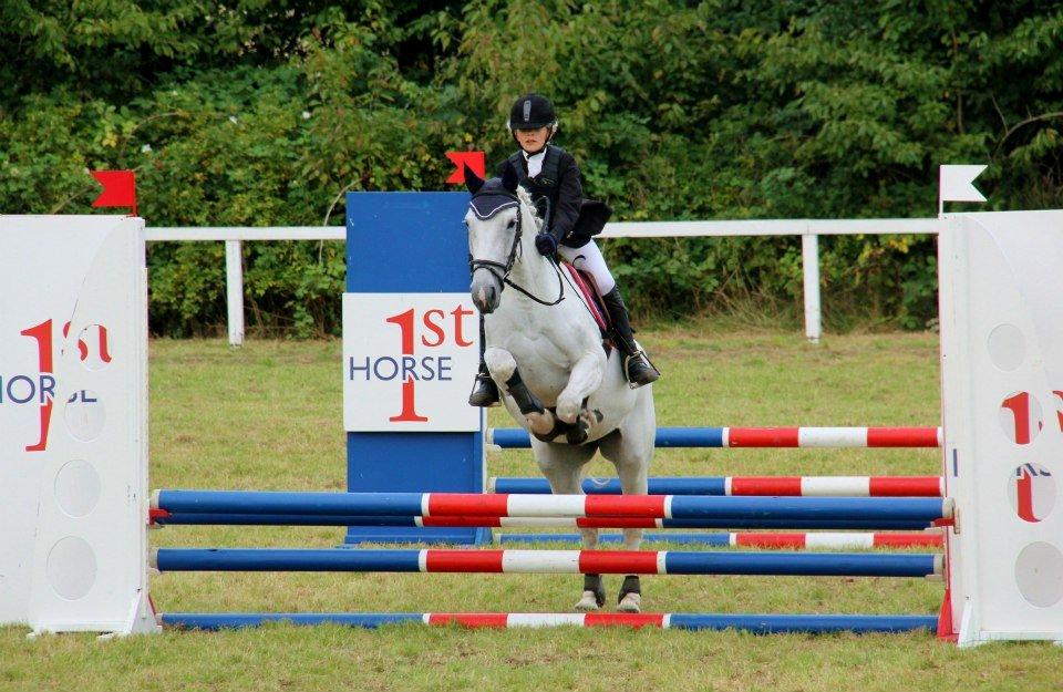 Irsk Sportspony Dynamite Silver billede 7