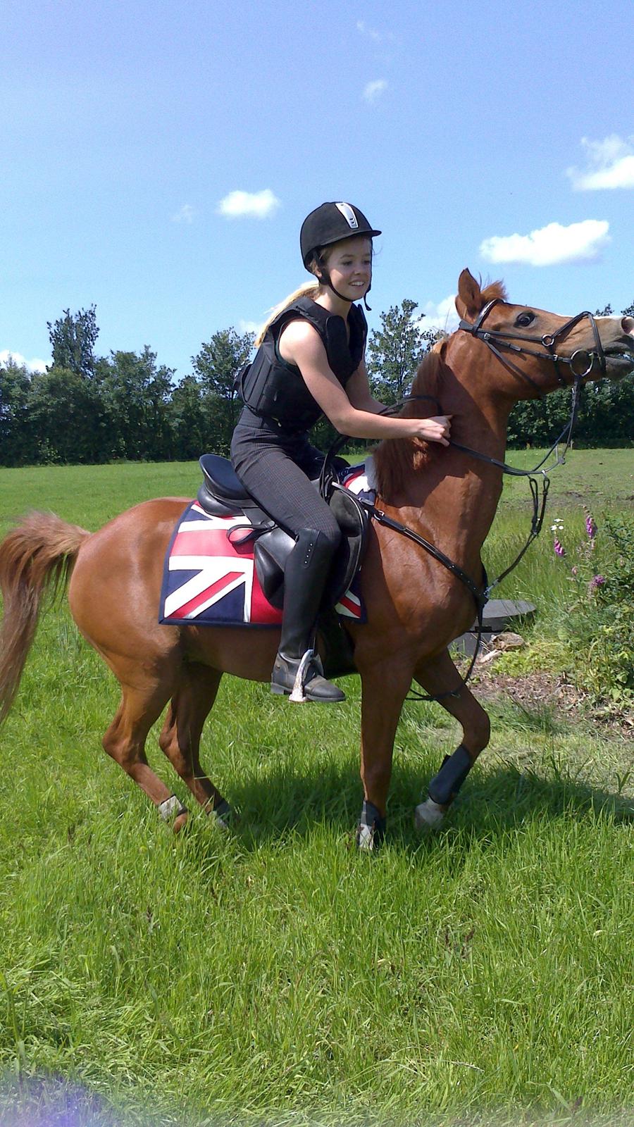 DSP Apollo (Polle fisen) <3 - Lidt hidsig efter at være ude på markerne! xD <3 billede 13