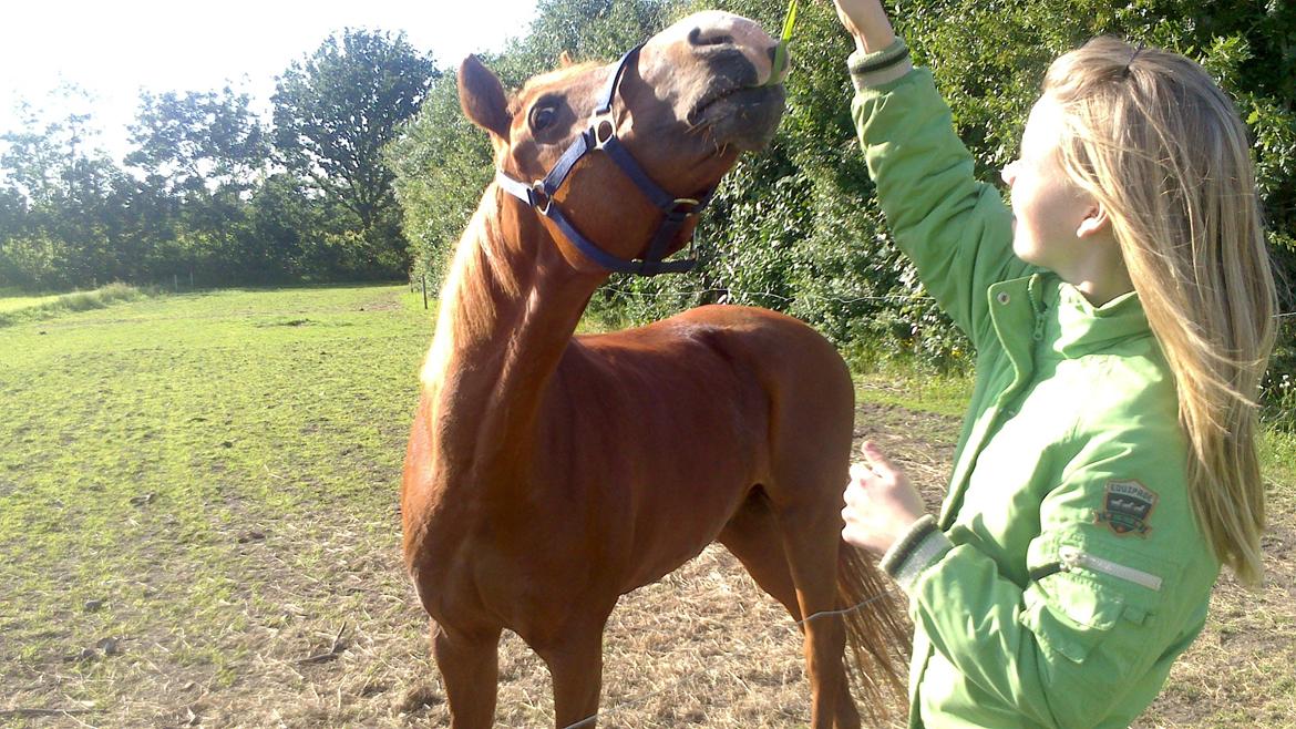 DSP Apollo (Polle fisen) <3 - Haha xD billede 14