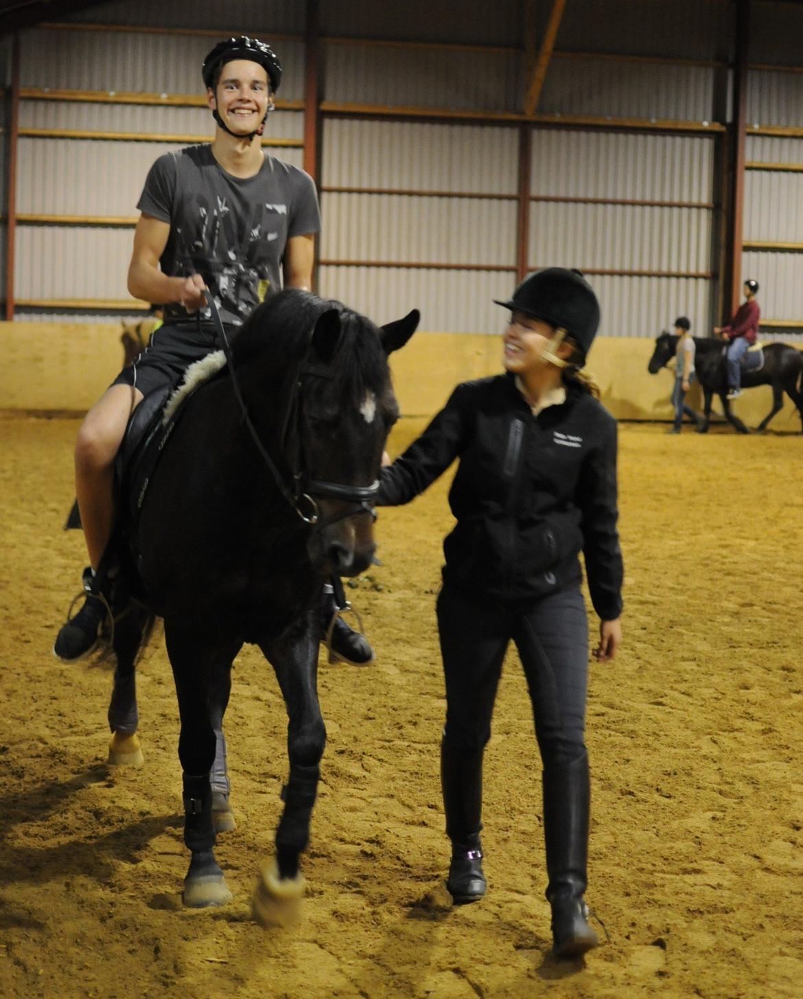 New Forest Elmholts Bravur  billede 17