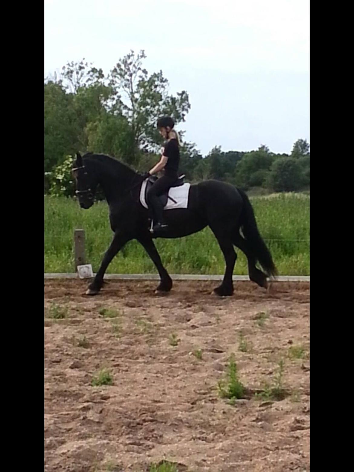 Frieser Tutsje Utt Foersum billede 1