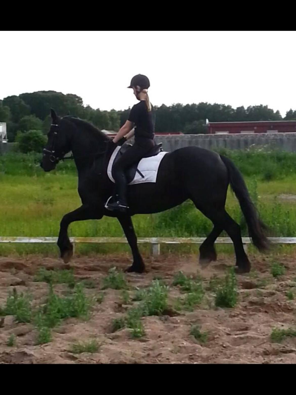 Frieser Tutsje Utt Foersum billede 2