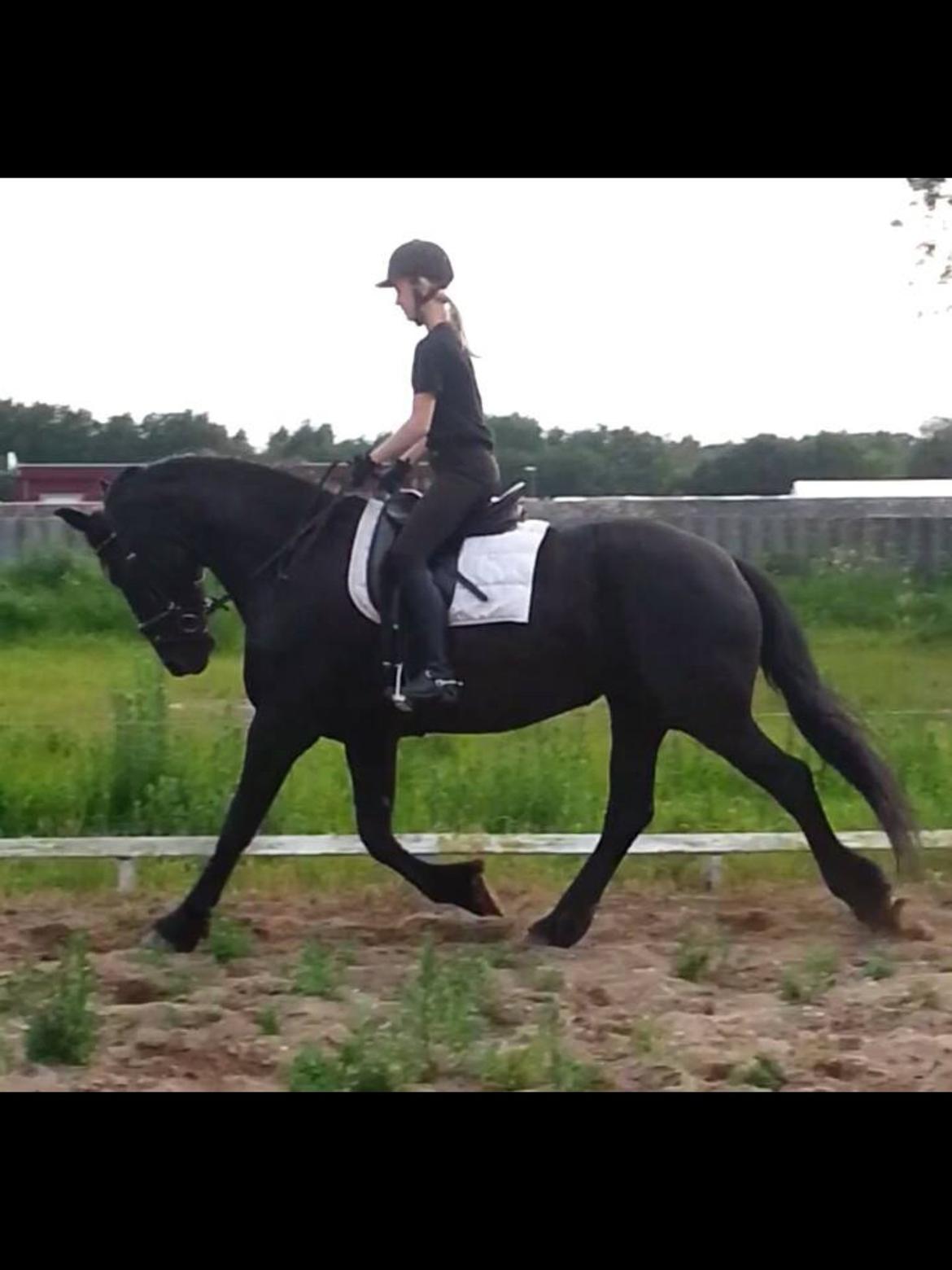 Frieser Tutsje Utt Foersum billede 3