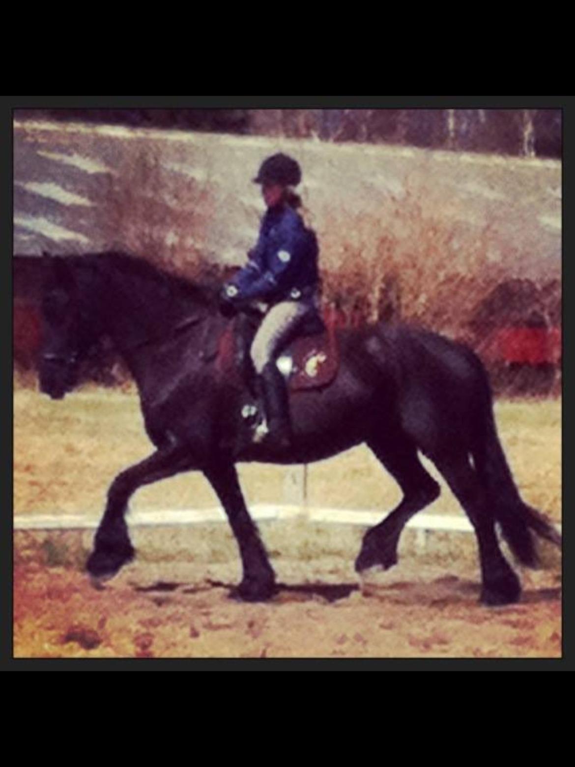 Frieser Tutsje Utt Foersum billede 5