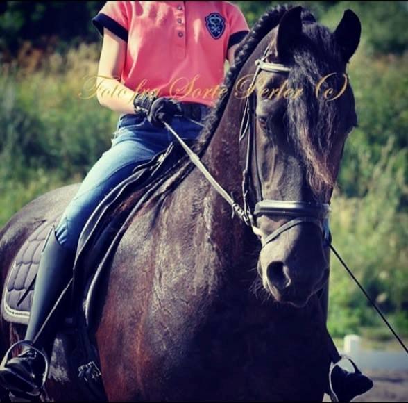 Frieser Zak Prammann - <3 billede 1