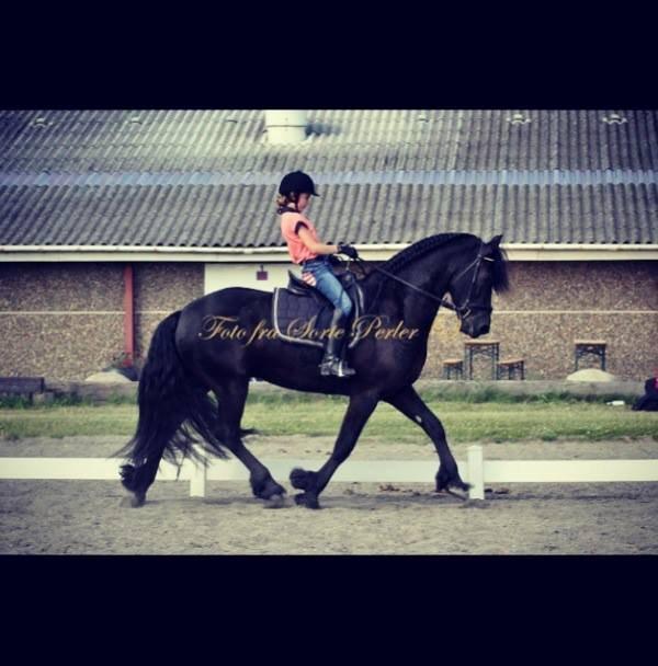 Frieser Zak Prammann - Min deeejlige hest<3 billede 3