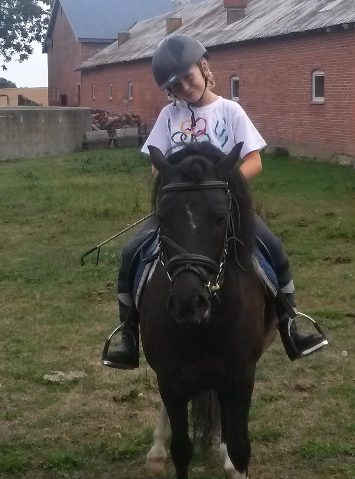 Anden særlig race Hestelunds Sokki - Velkommen til Sokkis profil håber i byder ham velkommen billede 1