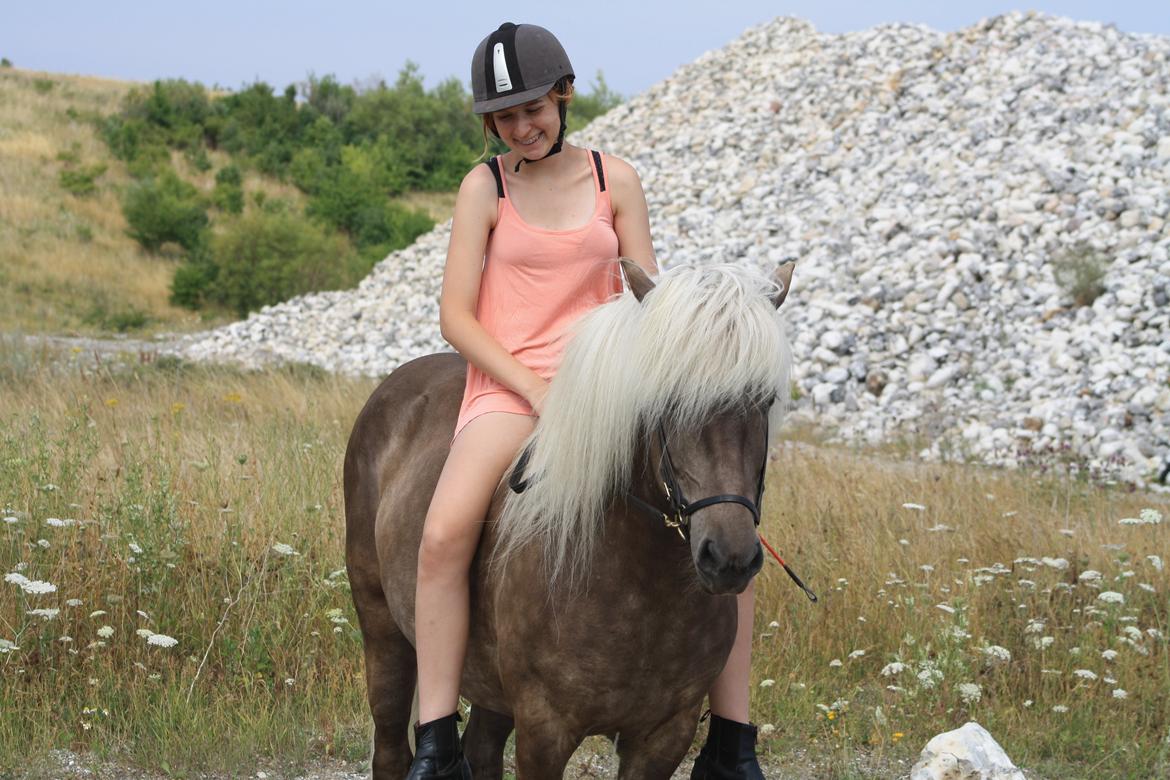 Islænder Así - Igen, fra vores hjemme lavede ridelejr. <3 billede 1