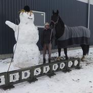 Oldenborg Max Højbo