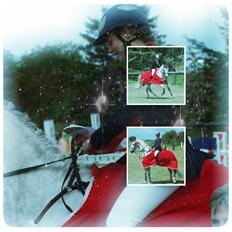 Holstener Unicorn choise