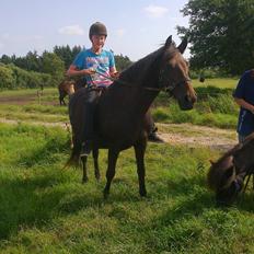 Anden særlig race Ladie