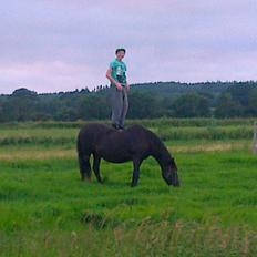 Anden særlig race Ladie