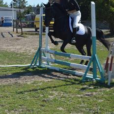 Anden særlig race zorro <3 prinsen <3