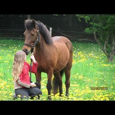 Anden særlig race Annabella