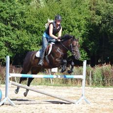 Anden særlig race Klintlys miss june
