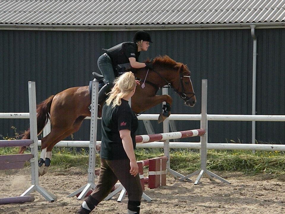 Anden særlig race Papaya - MØFFI :D billede 18