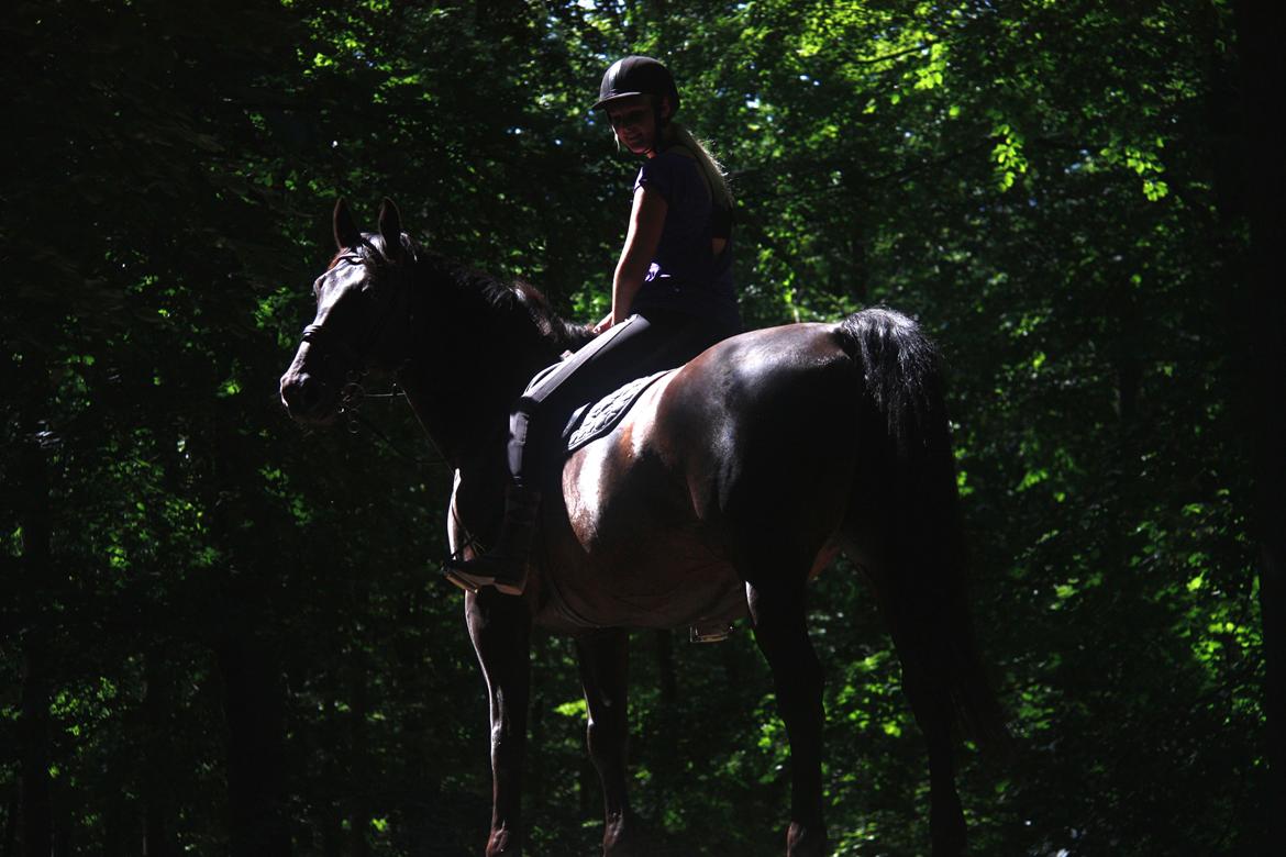 Anden særlig race Miro billede 4