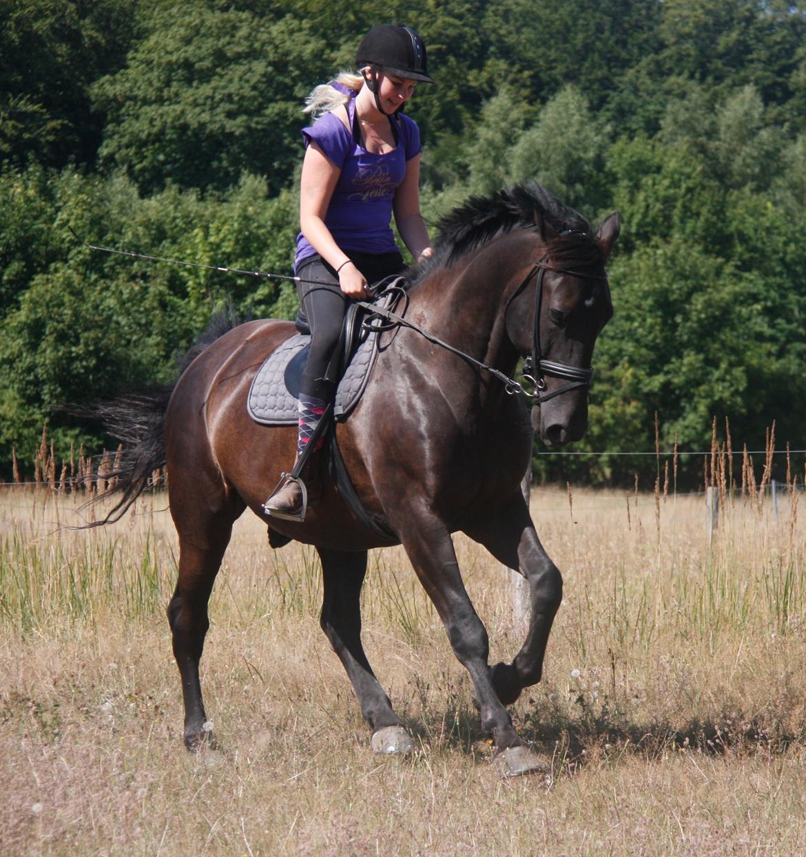 Anden særlig race Miro billede 5