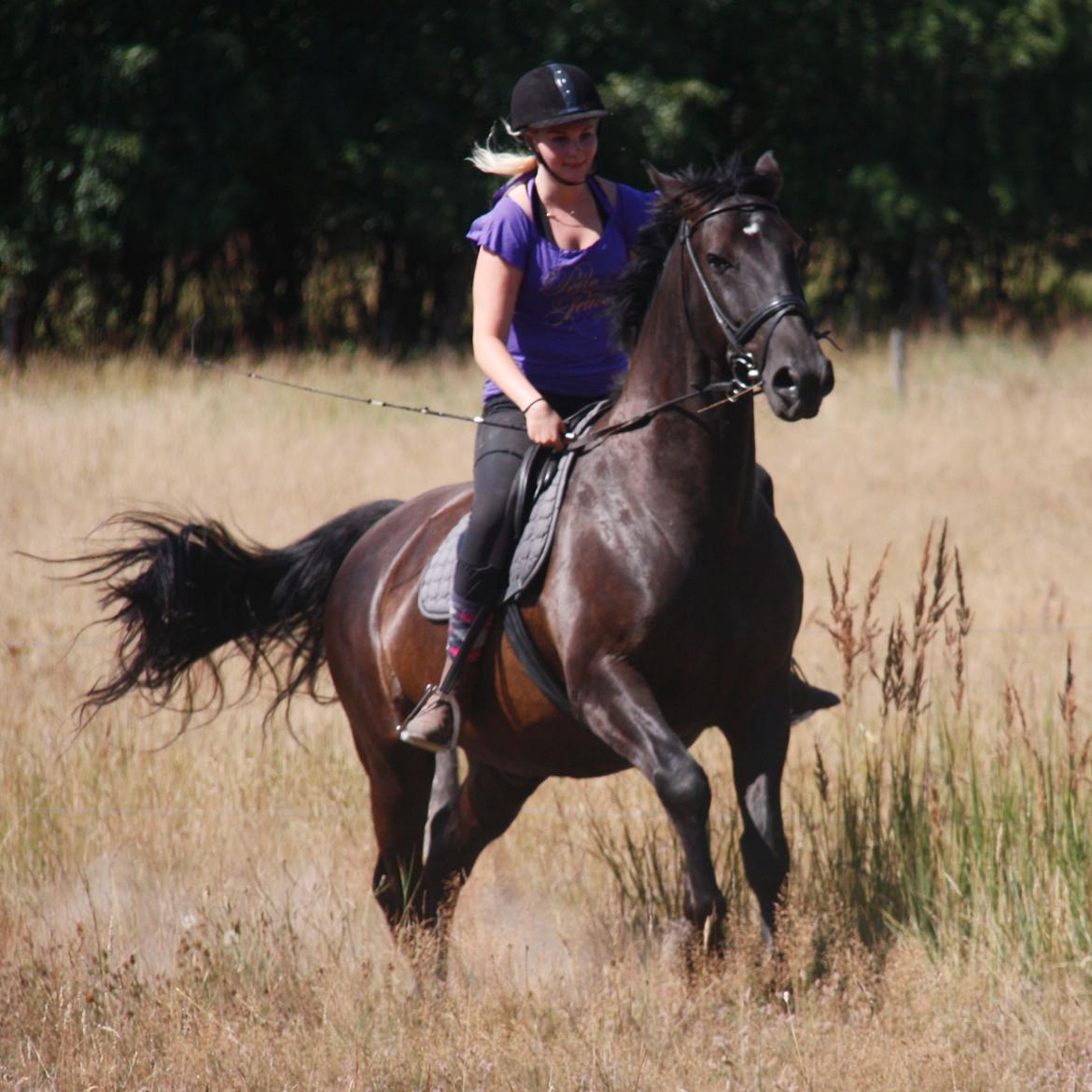 Anden særlig race Miro billede 7
