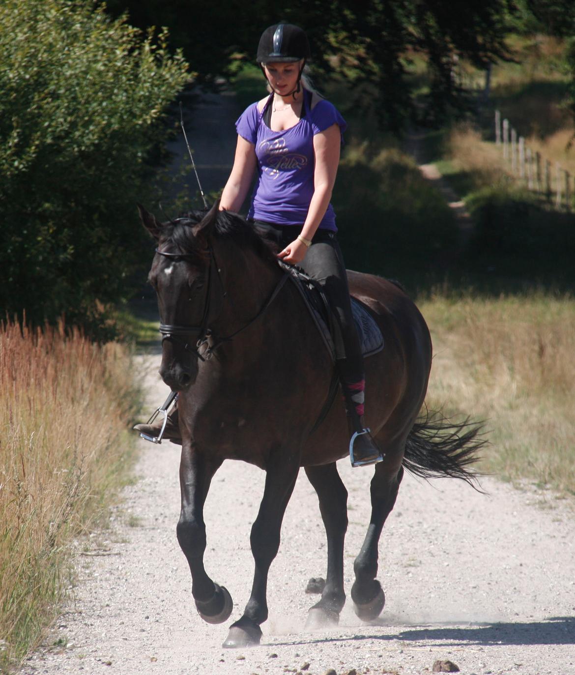 Anden særlig race Miro billede 9