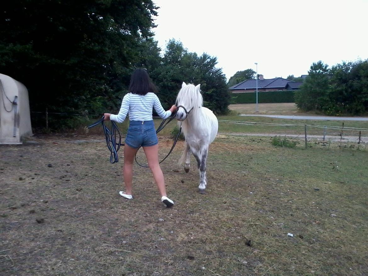 Anden særlig race Milton Solgt billede 14