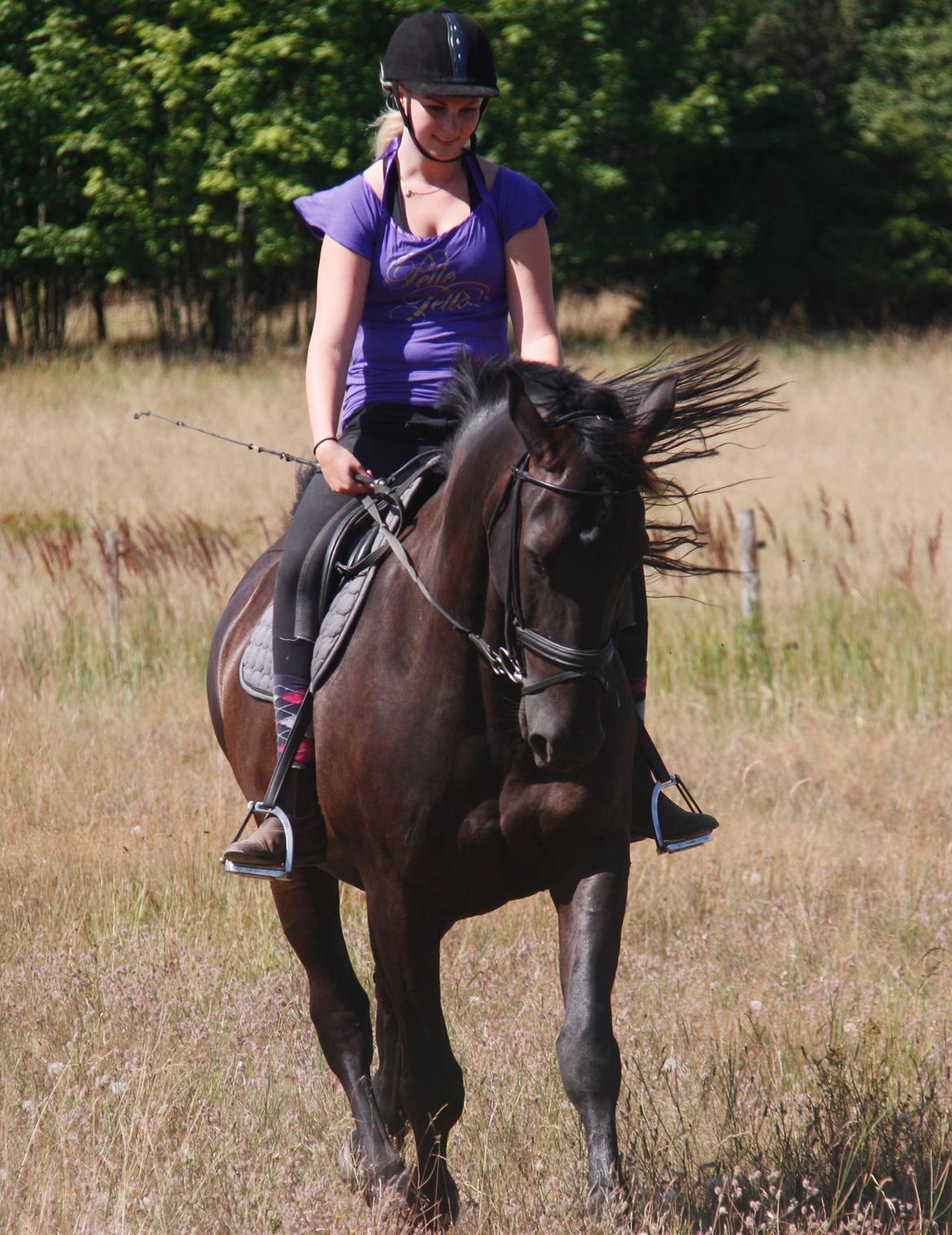 Anden særlig race Miro billede 12