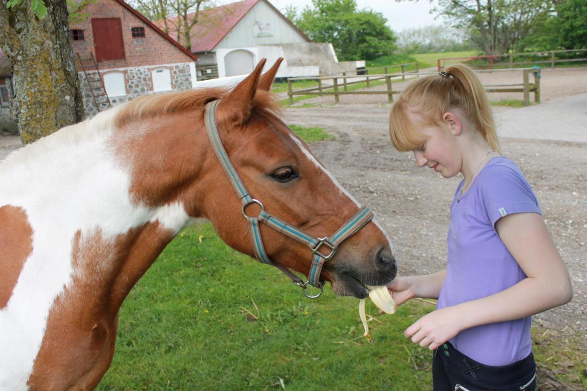 Pinto Prinsesse - Your´ my everything!! <33 :-* billede 6