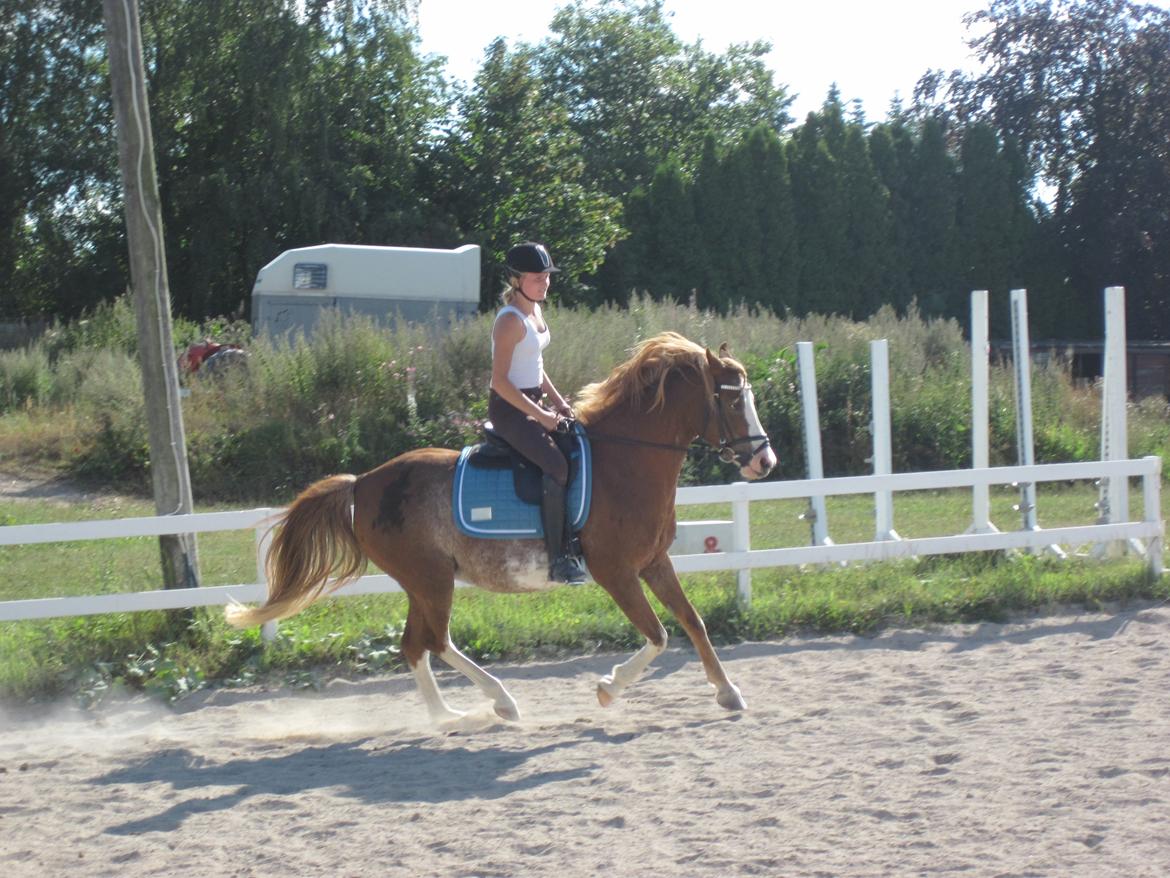 Anden særlig race Ravie * Min bedsteven* - Fremskridt! <3 Love you baby! billede 11