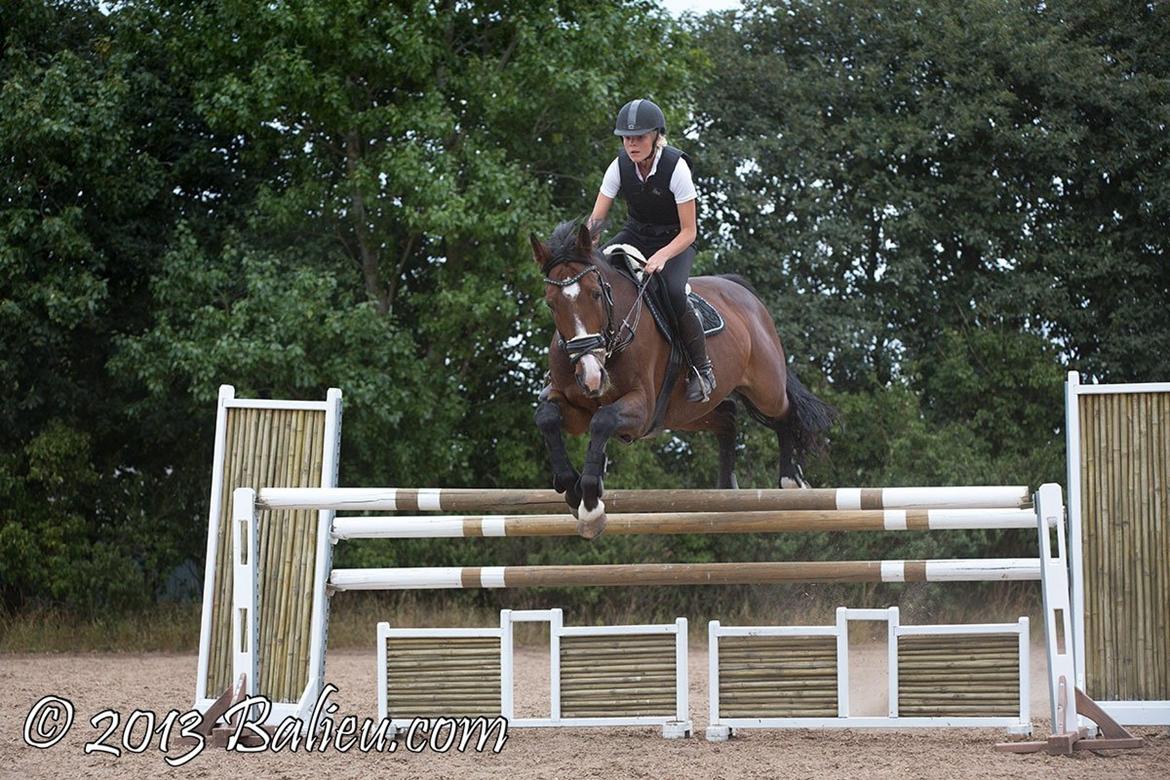 Anden særlig race Jari billede 18