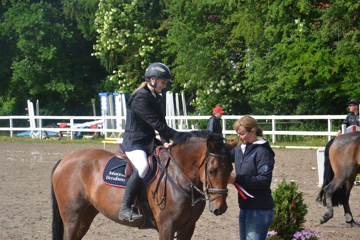 New Forest Enggårdens Conrad billede 7