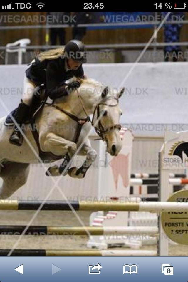 Dansk Varmblod LORETTA - Lori og jeg, 2013, Vilhelmsborg :) billede 20