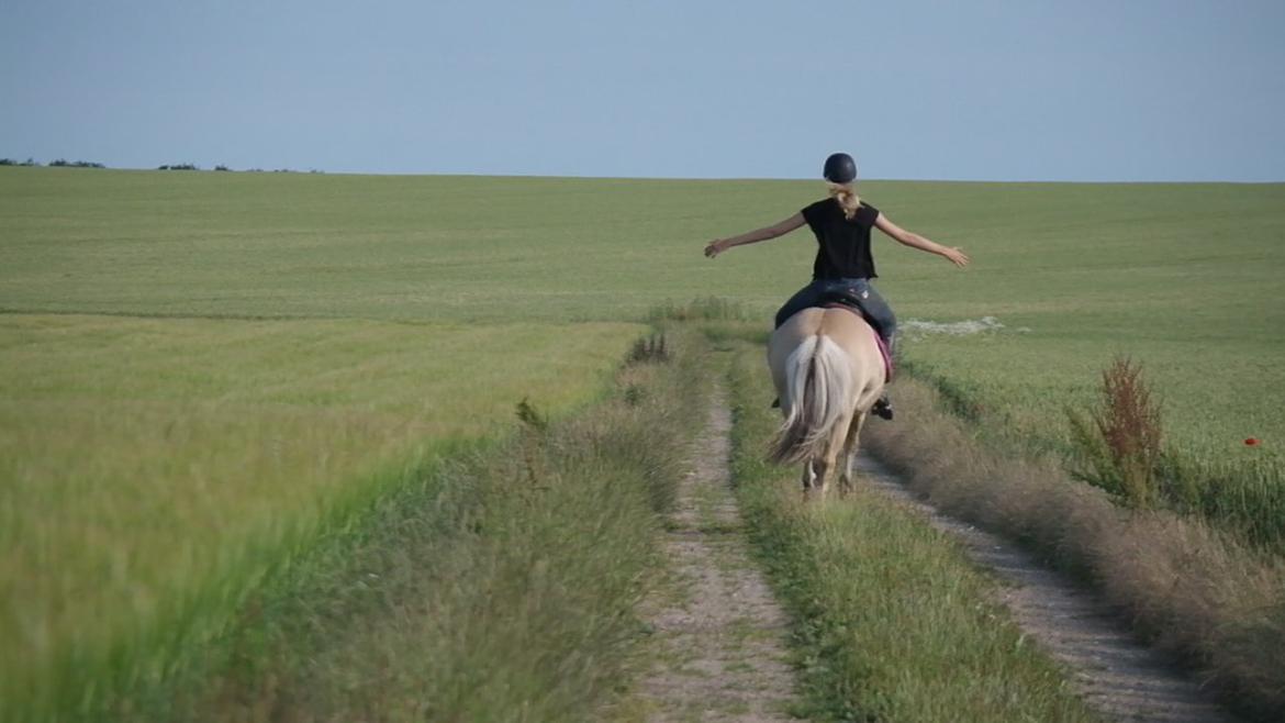 Fjordhest Maja (lille frk. Tut) himmelhest - vi to flyver ud på eventyr sammen :D <3 billede 3