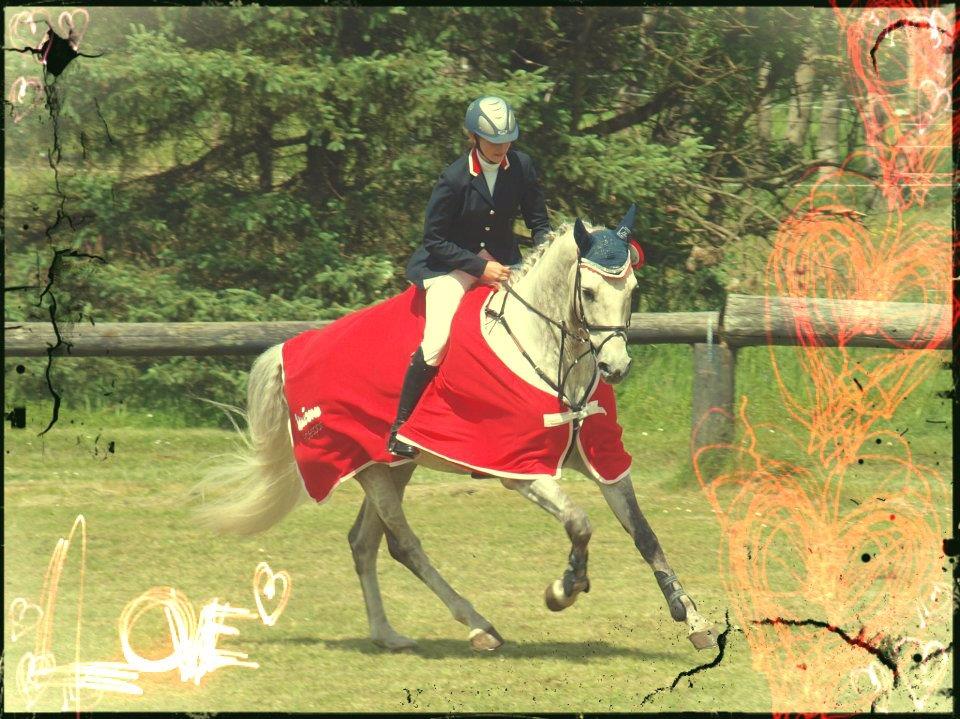 Holstener Unicorn choise - Distriktsmester 2012 i distrikt 11/13 for young riders - FOTO: Maria Koldsø billede 24