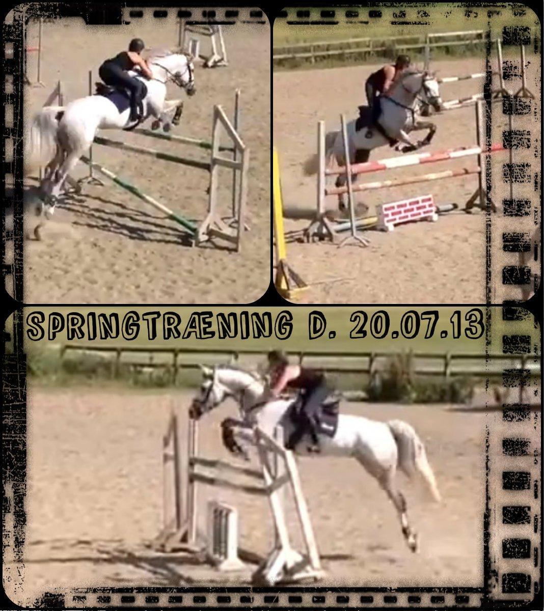 Holstener Unicorn choise - Springtræning Juni 2013 - FOTO: Fra video - Far billede 17