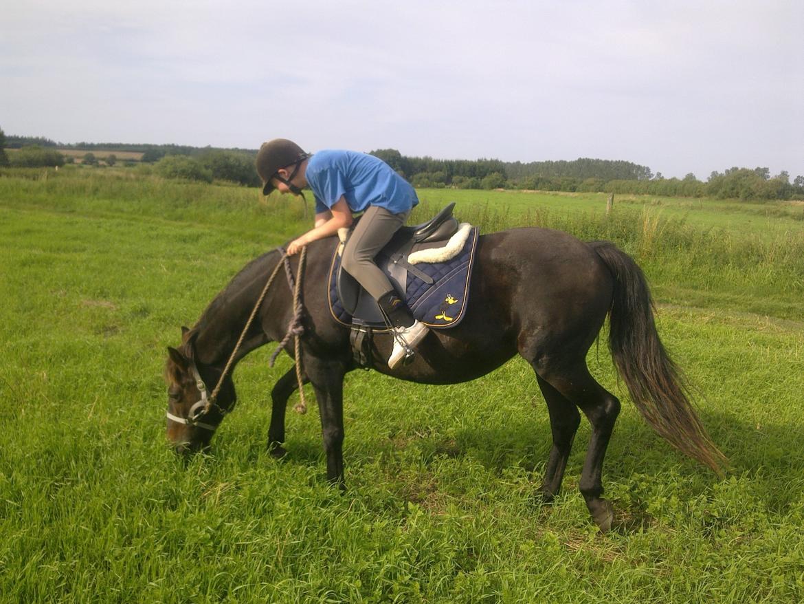 Anden særlig race Ladie billede 7