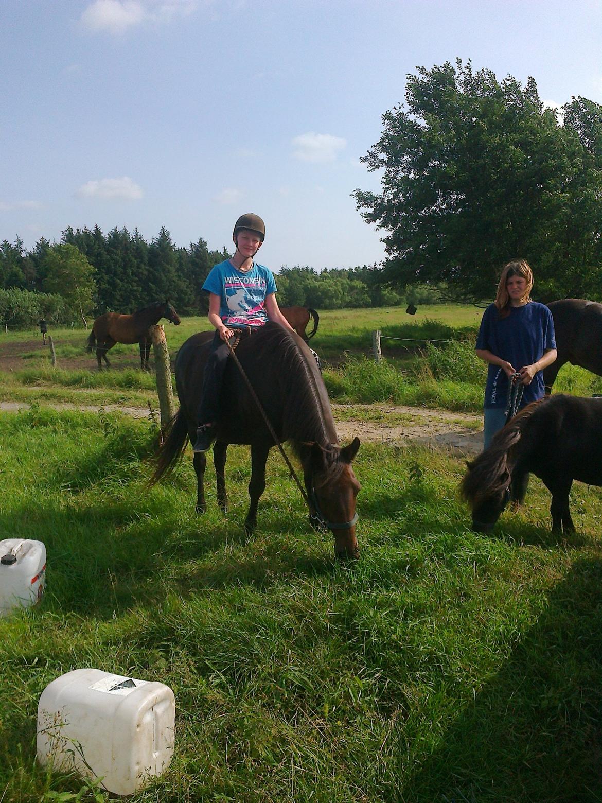 Anden særlig race Ladie billede 10