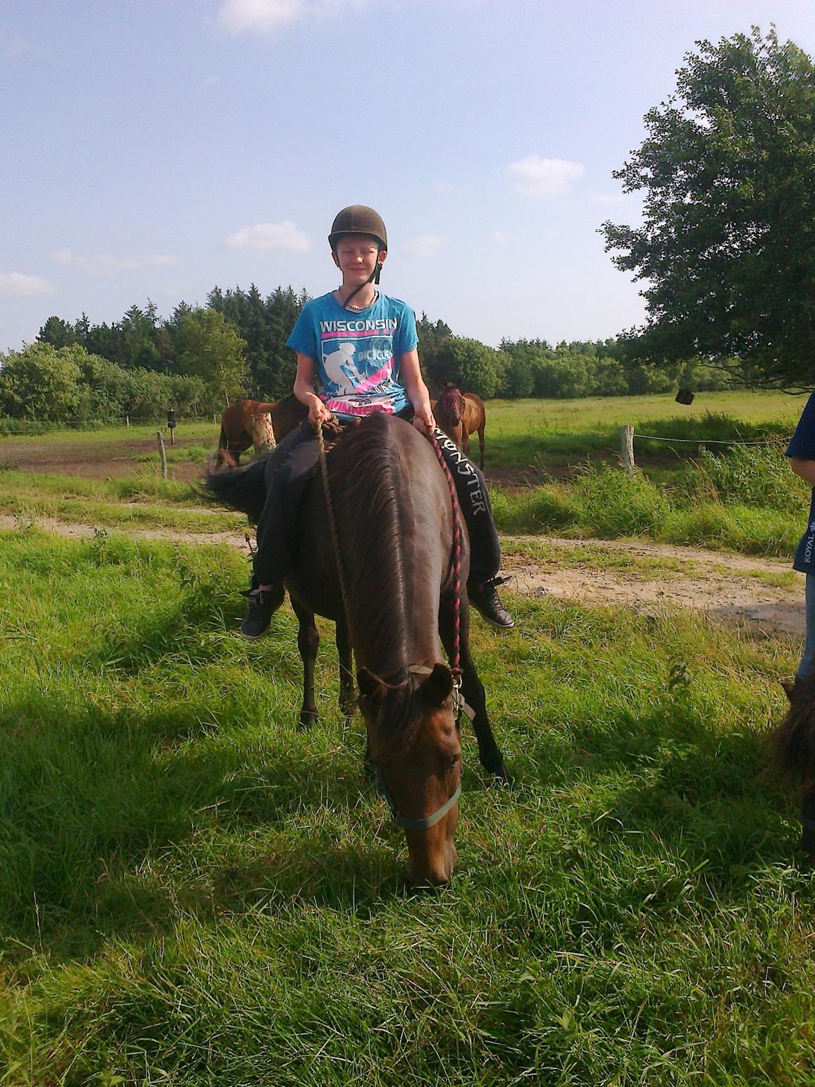 Anden særlig race Ladie billede 11