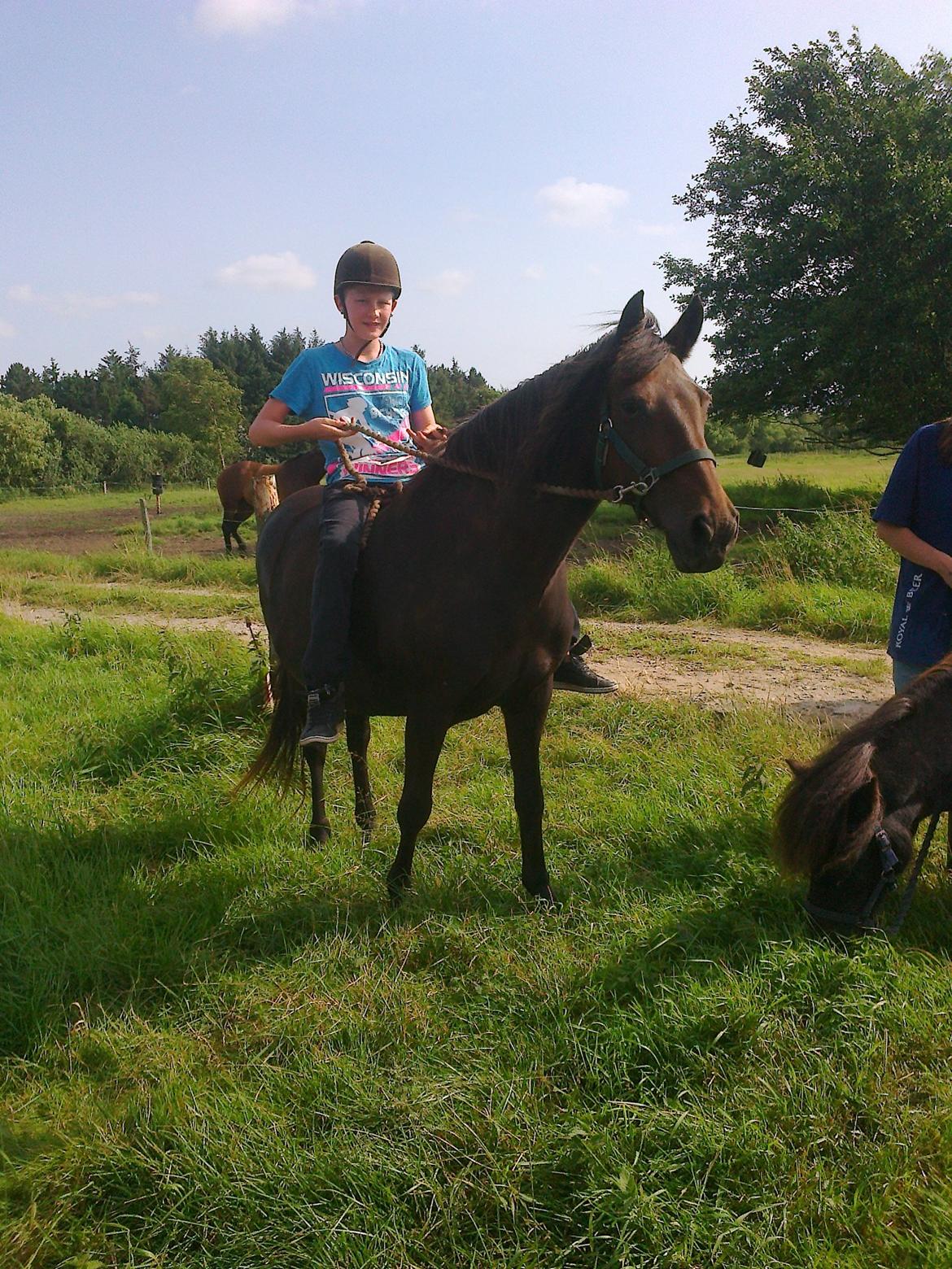 Anden særlig race Ladie billede 1