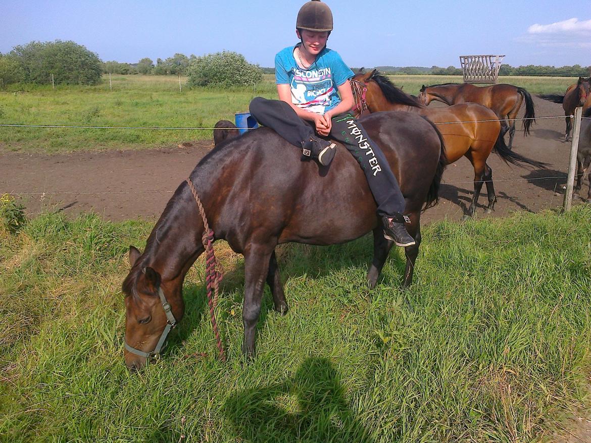 Anden særlig race Ladie billede 5