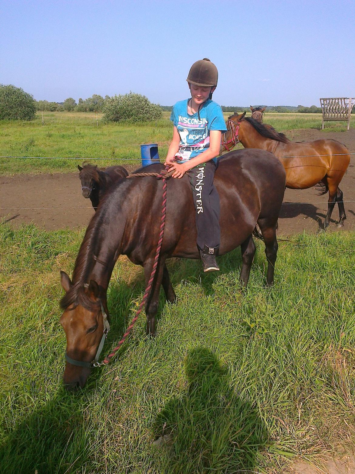 Anden særlig race Ladie billede 12