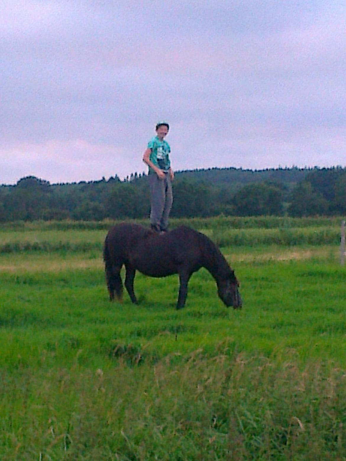 Anden særlig race Ladie billede 2