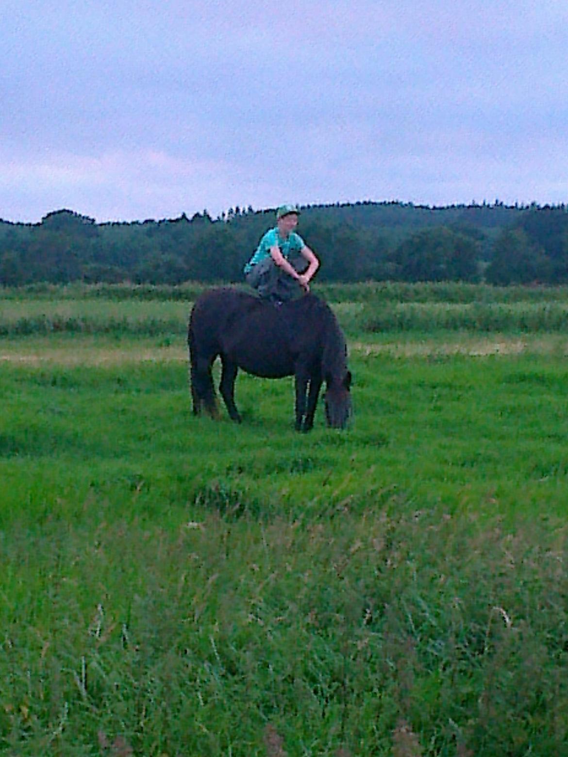 Anden særlig race Ladie billede 15
