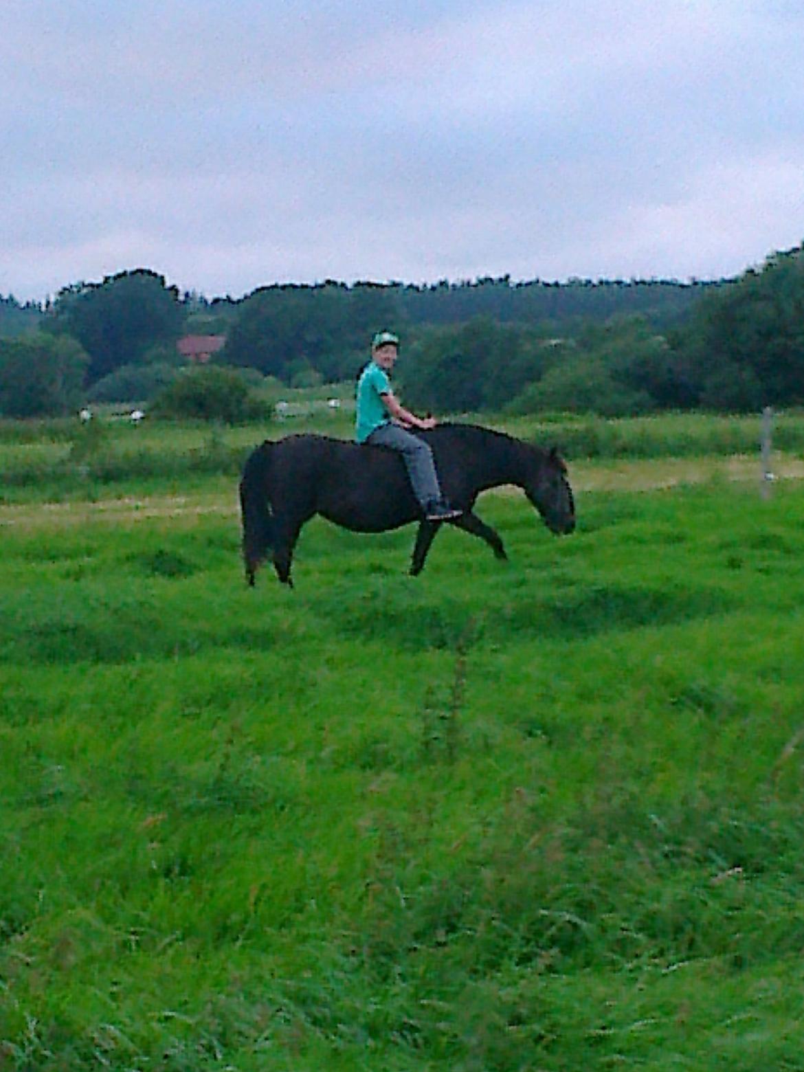 Anden særlig race Ladie billede 17