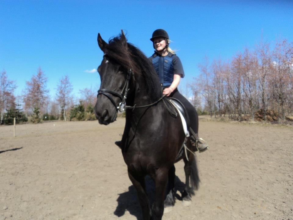 Frieser Branco af Stasevang - Marts 2013<3 billede 5