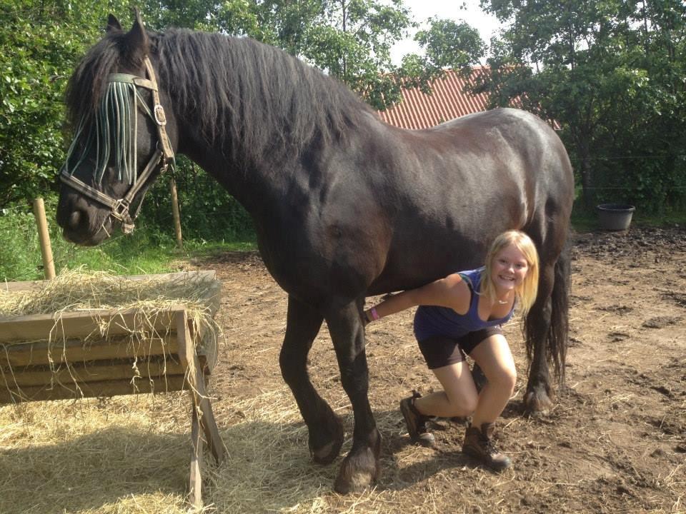 Frieser Branco af Stasevang - Fold hygge<3 billede 6